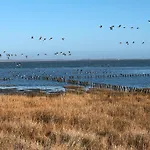 In Strandnaehe Semesterbostad *