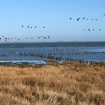 In Strandnaehe Dornum