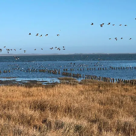 In Strandnaehe 펜션 *