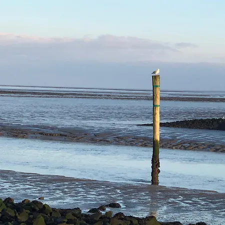 In Strandnaehe * 돌눔