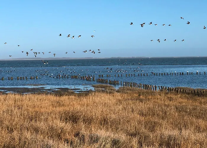 In Strandnaehe Semesterbostad *